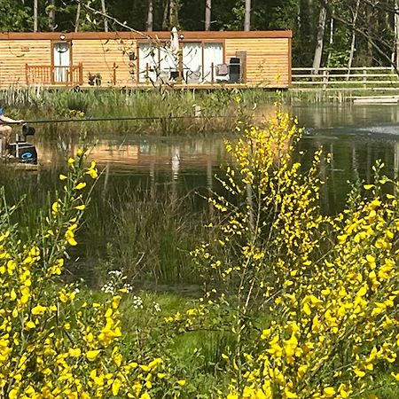 Rowan Boutique Lodge For Couples With A Dog York Eksteriør billede
