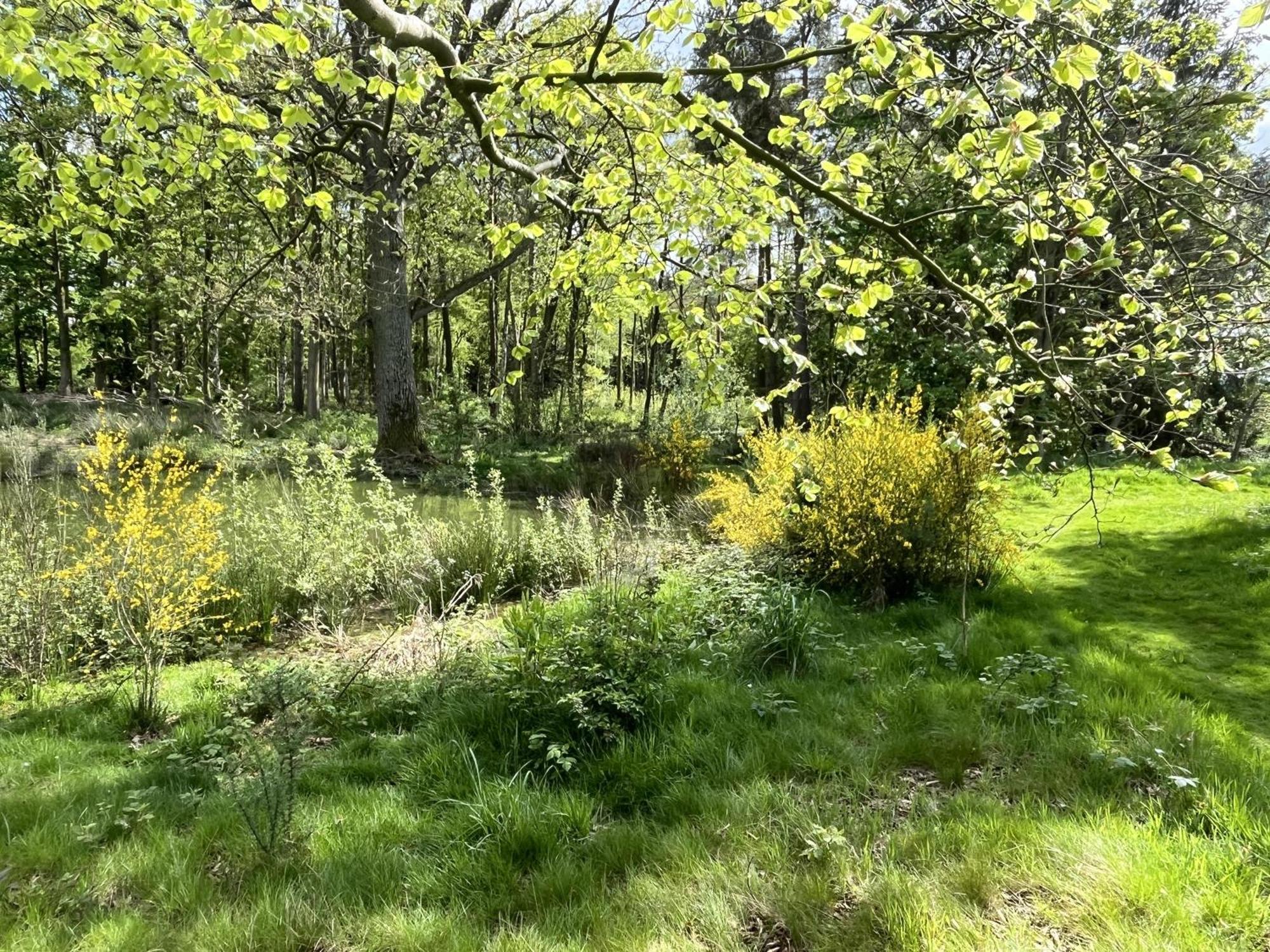 Rowan Boutique Lodge For Couples With A Dog York Eksteriør billede