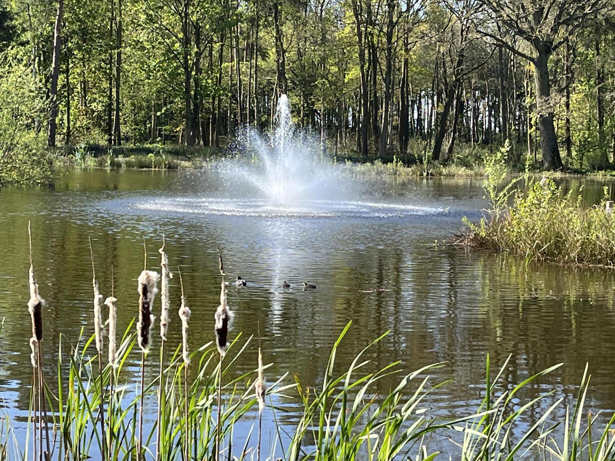 Rowan Boutique Lodge For Couples With A Dog York Eksteriør billede