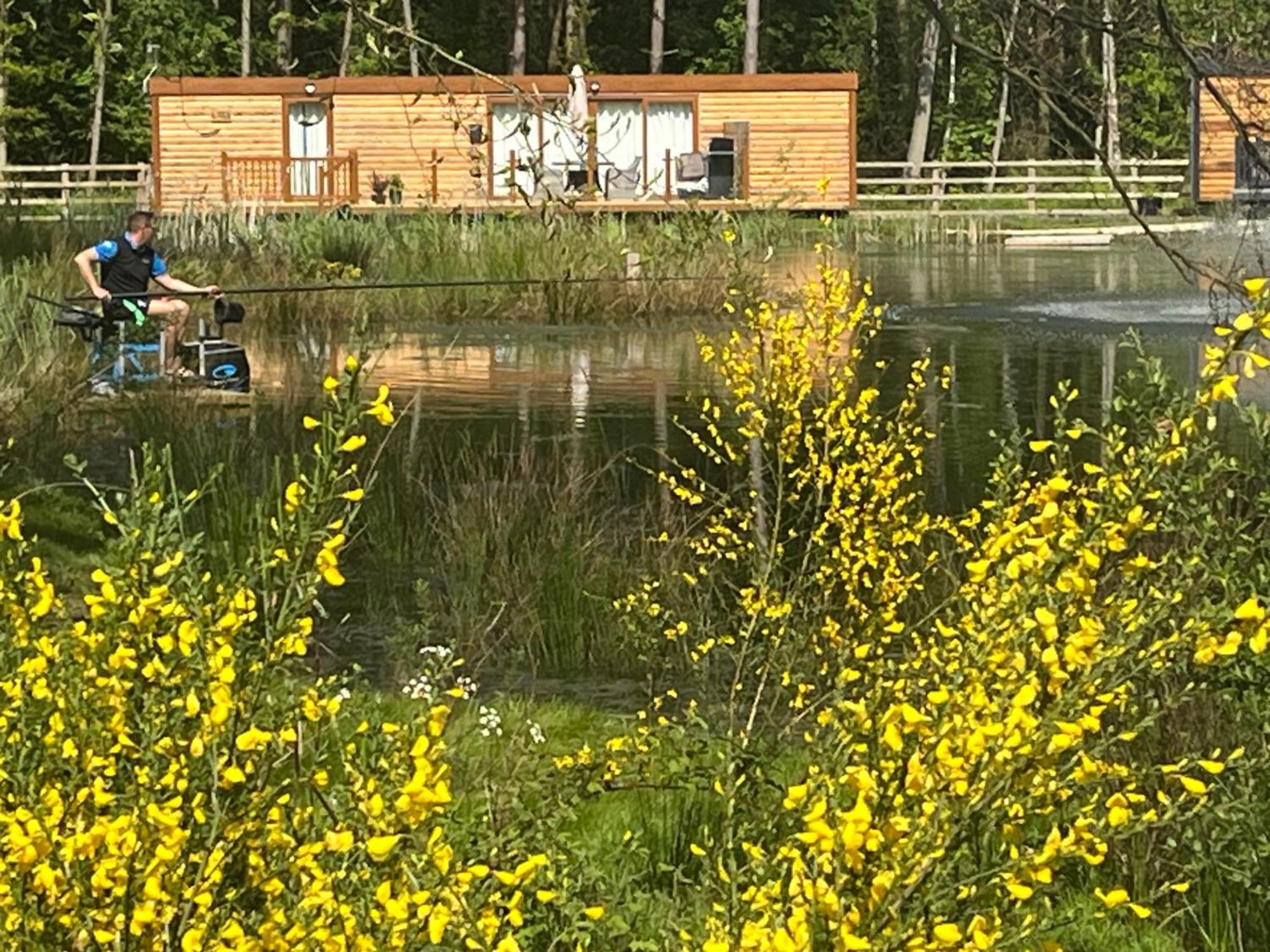 Rowan Boutique Lodge For Couples With A Dog York Eksteriør billede